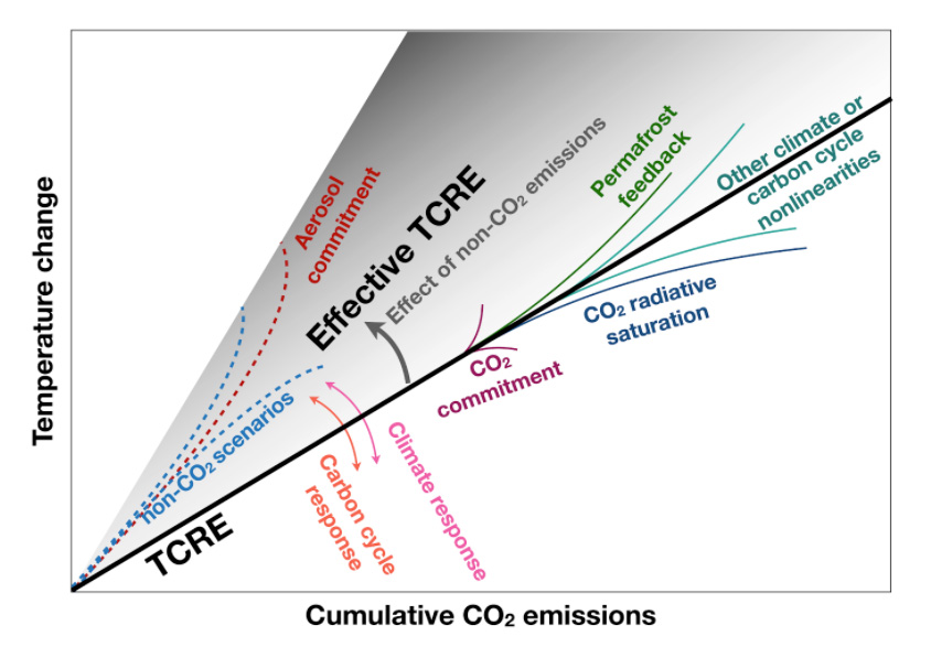 Different factors affecting the approximately linear relationship between warming and cumulative CO2 emissions