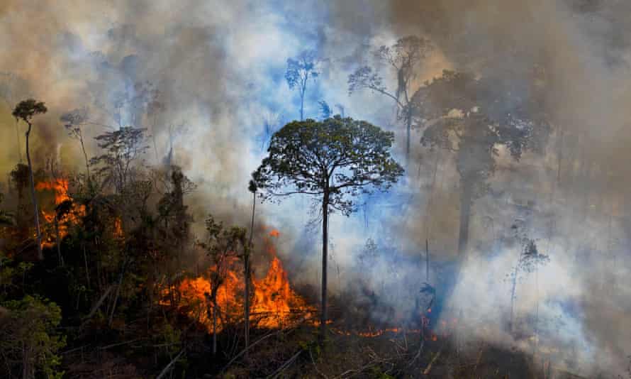 An illegally lit fire in the Amazon rainforest reserve in Pará state, Brazil