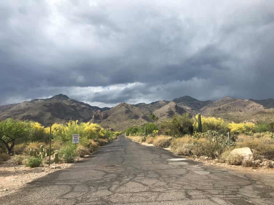 Clouds gather over the Santa Catalina Mountains, but rain does not come. This area was evacuated during the Bighorn fire in June 2019, which was caused by a lightning strike and burned nearly 120,000 acres. 