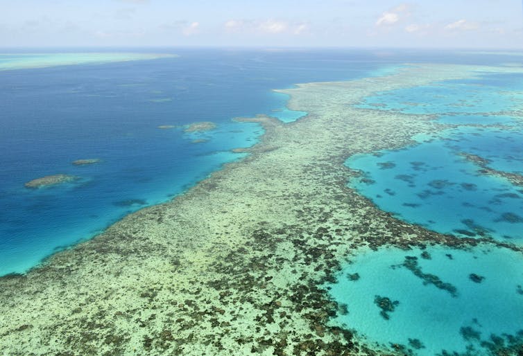 The great barrier reef is seen from the air.