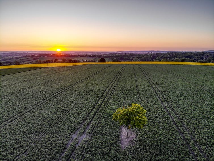 An aerial view of a field in England