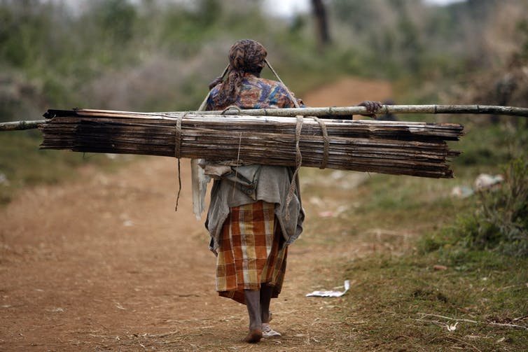 woman carries slender logs