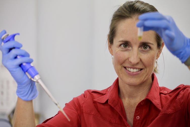 Scientist experimenting on kelp