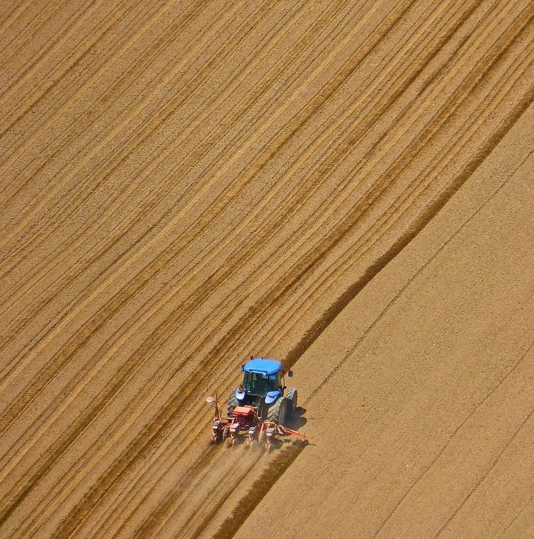 A tractor ploughs a field
