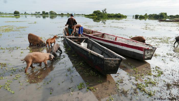 Local fishermen and animals in the water (DW/Juan Zacharás)