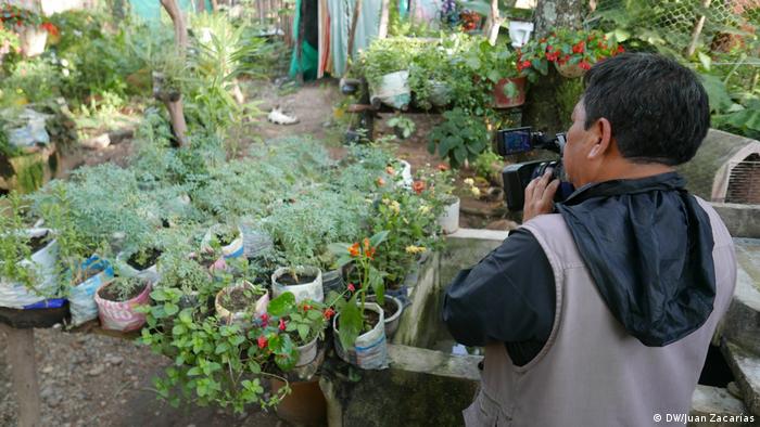 People grow food in their back gardens (DW/Juan Zacharás)