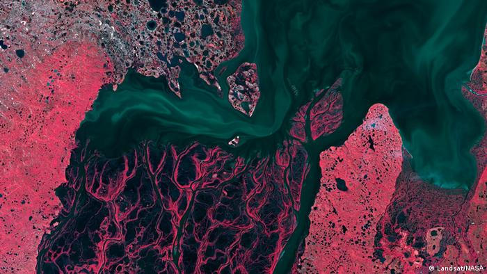 Satellite image of Siberian wetlands 