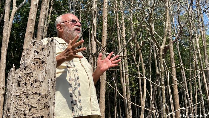 Ricardo Navarro, president of the NGO CESTA, stands next to a dead mangrove tree in El Salvador 