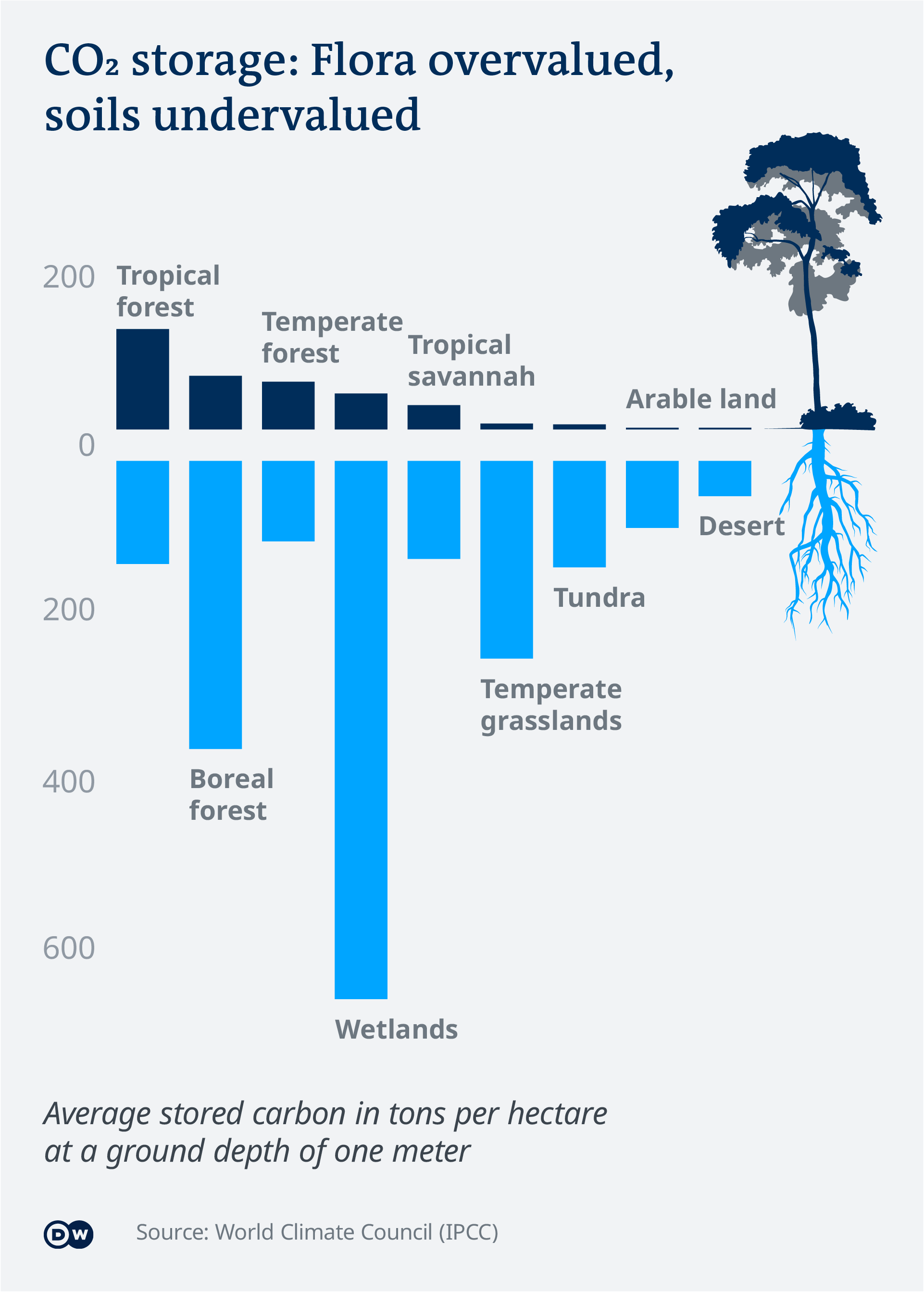 Data visualization carbon sinks plants and soils EN