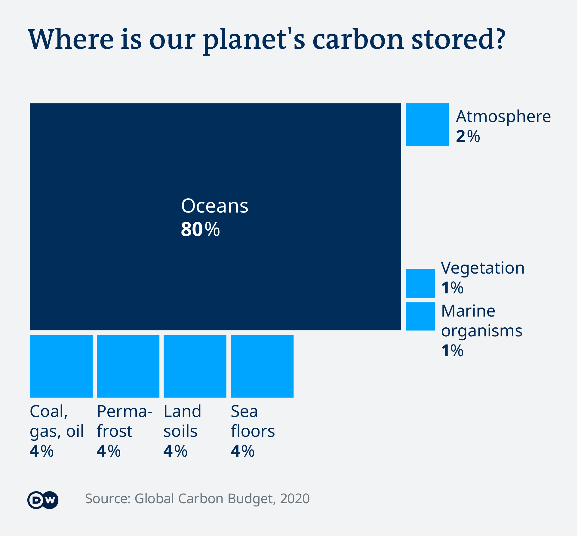 Data visualization carbon sinks carbon storage EN