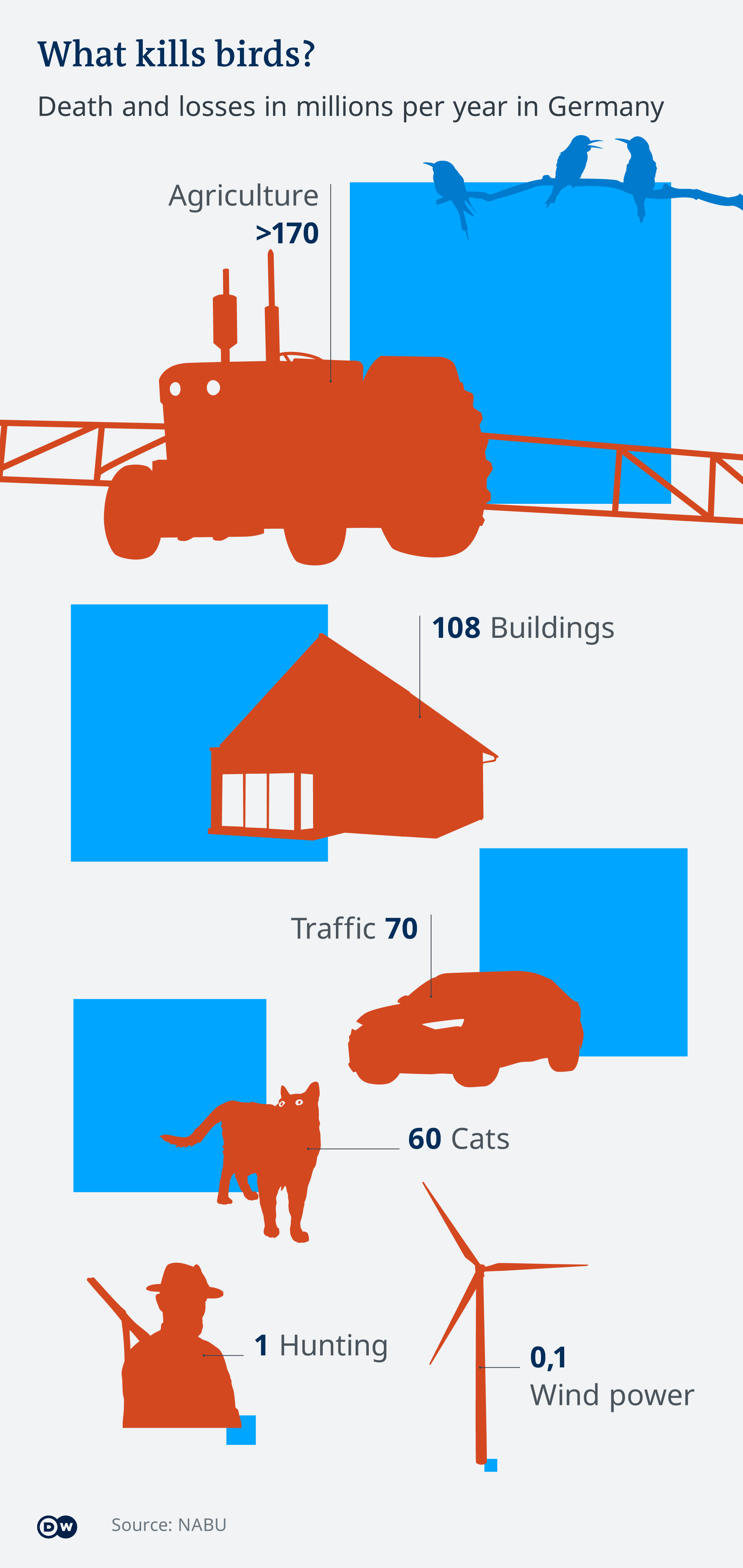 Infografik what kills birds EN