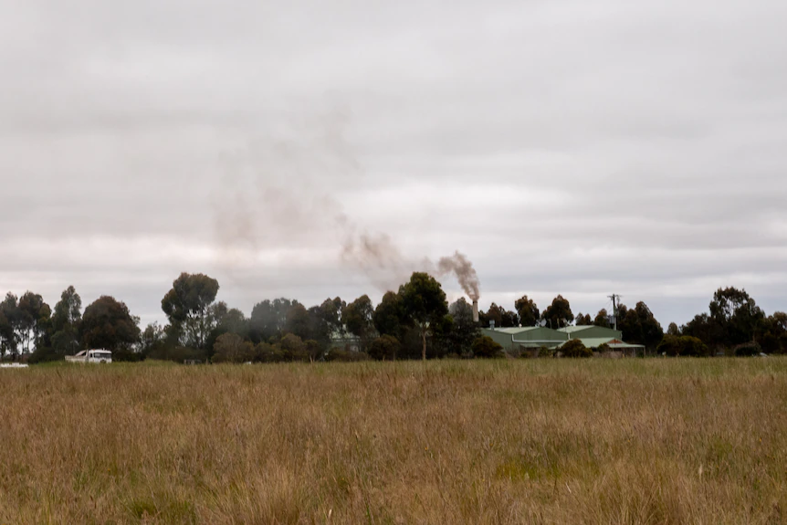 a factory building in a paddock