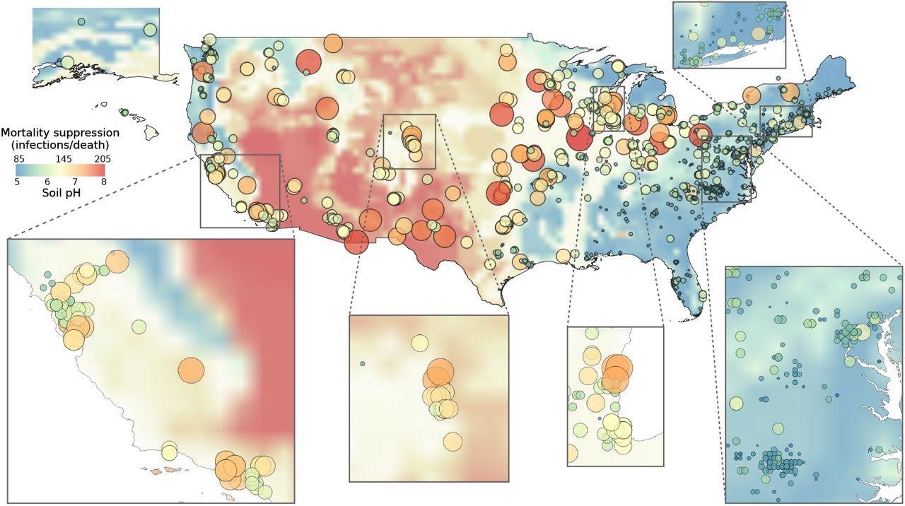 Fungal suppression of COVID-19 mortality varies regionally. In regions where soils tend to be basic (red background shading), indoor-outdoor fungal beta-diversity tends to be low, and fungal suppression of SARS-CoV-2 IFR is high (red dots). By contrast, the opposite trend holds in regions with acidic soils (blue background shading and dots); here, where fungal suppression of SARS-CoV-2 IFR is lessened, SARS-CoV-2 IFR can be high or low depending on whether other factors (e.g., climate, demographics) reduce SARS-CoV-2 IFR.