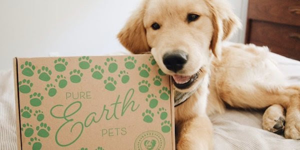 A cute doggo noms the corner of this eco friendly monthly box for pets