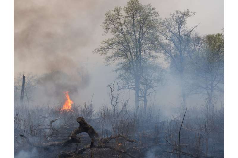 Prescribed burn on savannah. Credit: Adam Pellegrini Controlled burning of natural environments could help offset our carbon emissions
