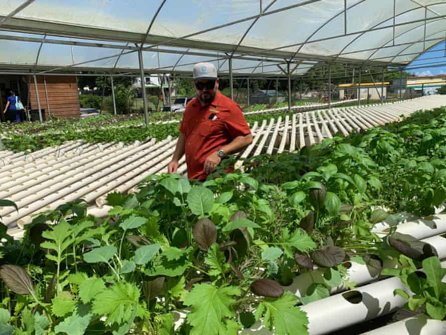 A man walks through a large greenhouse filled with long white tubes where plants are growing through hydroponics.