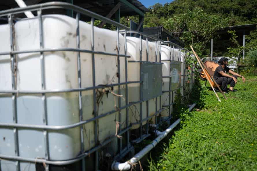 A farmer squats in the grass next to four large rainwater tanks.