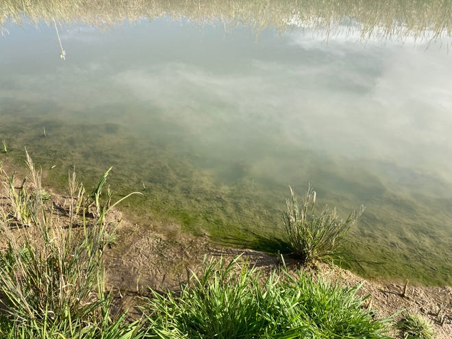 The Rio Grande in Jurez just below the American Dam was a murky green-gray hue on Dec. 28.
