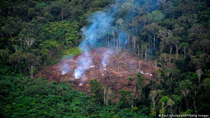Smoke rising from a patch of destroyed rainforest 