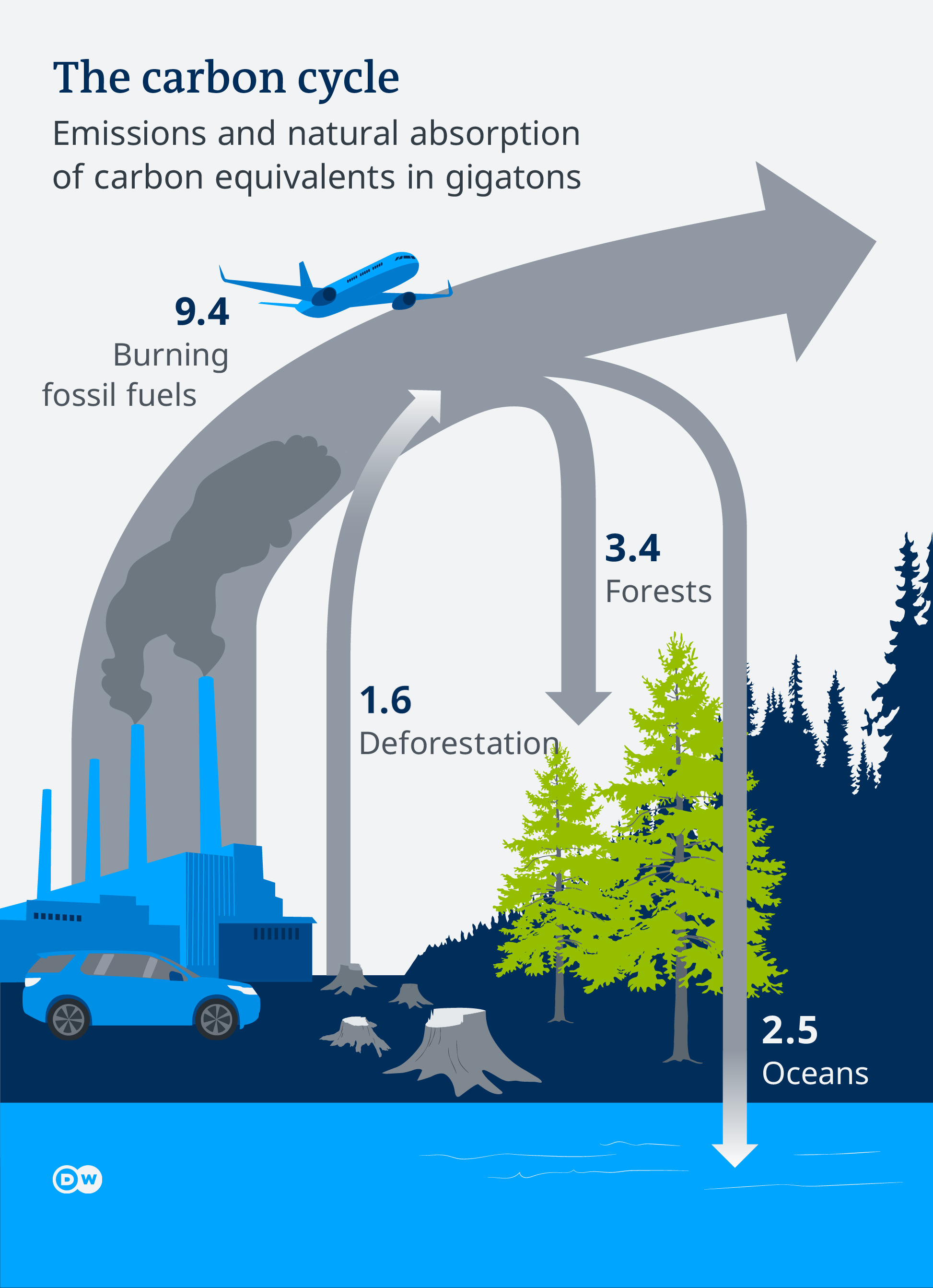 Data visualization carbon sinks carbon cycle EN