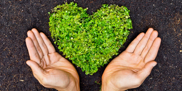 A green heart made out of plants between two hands promotes eco-friendly attitudes