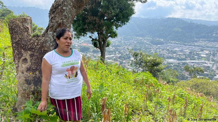 A woman stands in a corn and bean field on a hillside in the outskirts of El Salvador's capital, San Salvador 