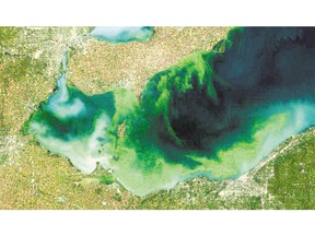 An aerial view of algae (light green) coverage of part of Lake Erie in 2011. In 2014, Environment Canada said it had no information related to a request for information about the nutrient pollution that causes these algae blooms.