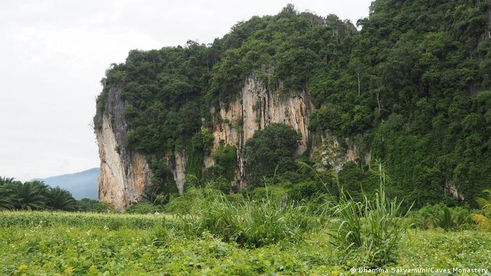 A limestone hill covered in trees 