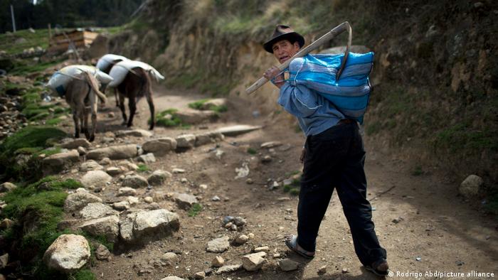 A man walks towards his plot of land where he grows corn and potatoes in Huaraz, Peru