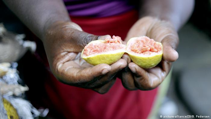 A close-up of a woman's hands holding a piece of open fruit. 