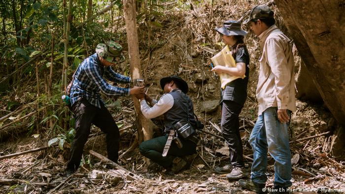 Conservationists setting camera traps in Myanmar