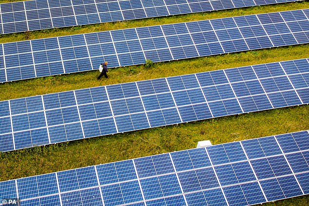 The Solar Campaign Alliance says the panels will blight the countryside and, by taking up fertile land, could significantly affect British food production (file photo of solar farm in Deon)