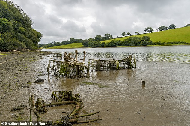 Not a single river in England is free from pollution  with waterways fouled by a 'chemical cocktail' of raw sewage, slurry, oils, car tyre microplastics and wet wipes (stock image)