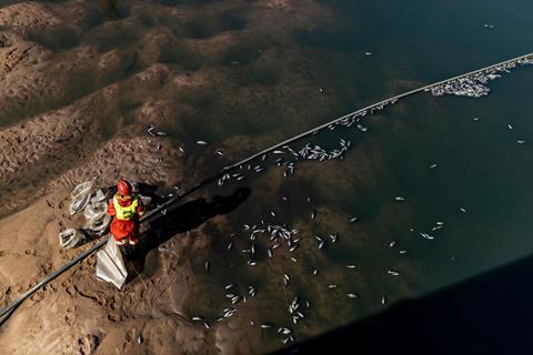 An image showing a cleaner removing dead fish from the uMhlanga Lagoon Nature Reserve in Durban