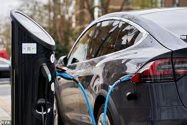Wear from brake linings and tyres on the roads may be greater than with petrol and diesel vehicles because of the weight of the battery in electric cars, Mr Eustice suggested, which in turn generates more polluting fine particles. (file photo of electric car being charged)