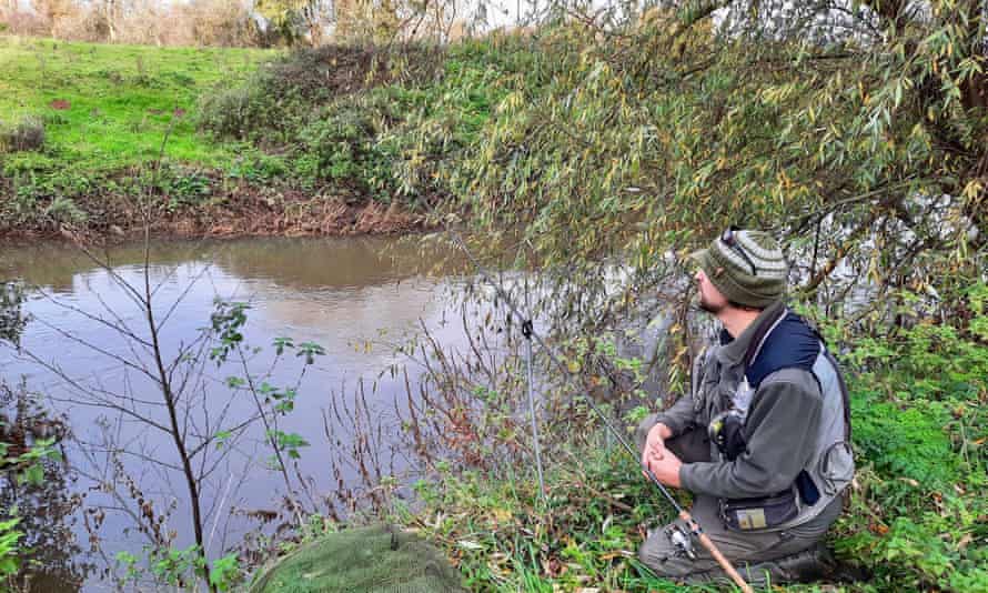 Dominic Garnett says the trees were cleared weeks before the nesting season.