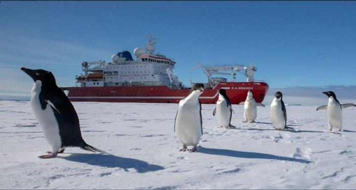 The S.A Agulhas II icebreaker / Credit: endurance22.org