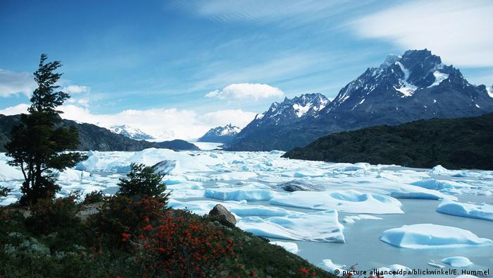 Lumps of ice flowing in water at Chile's Grey Glacier 
