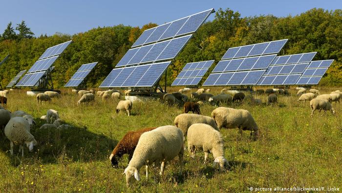 Solar panels in a field with sheep in Germany