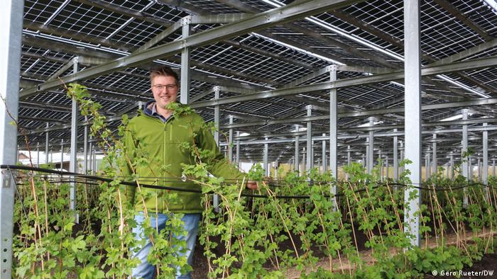 Farmer Fabian Kathaus with his solar panels and berries 