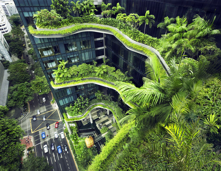 How Singapore is Pioneering the Way to Creating a Greener Urban Environment, Park Royal on Pickering. Image  Patrick Bingham-Hall