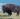 A bison stands on a grassy hill