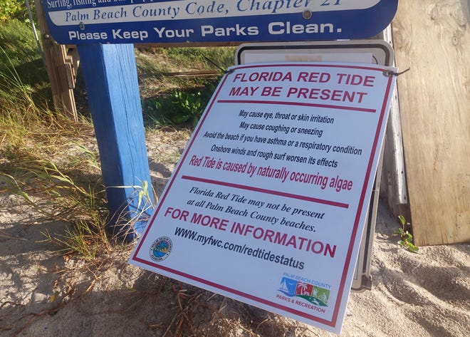 Red tide, deadly to sea life and a turnoff for tourists, has been found Floridas Gulf and Atlantic coasts.