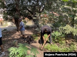George Remedios, who founded the group, The Turning Tide, is spearheading the planting of food forests in Mumbai and in the neighboring city of Pune.