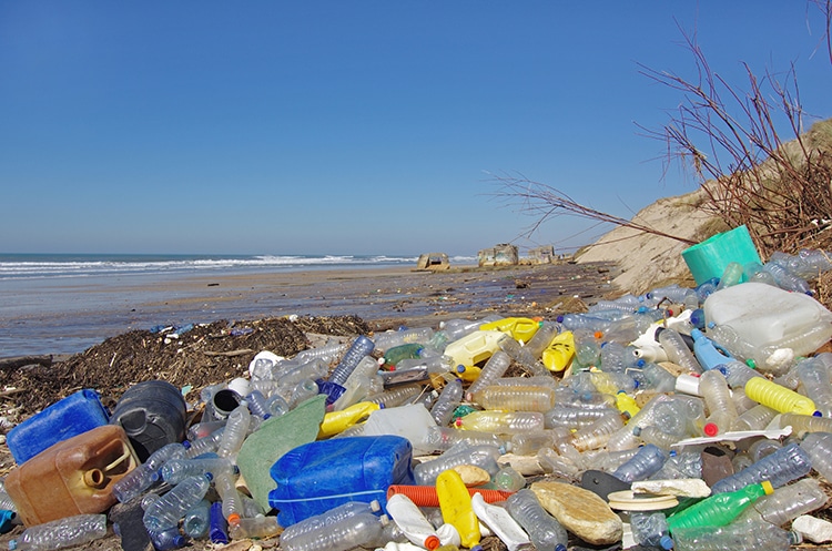 UN Environment Assembly Agree to Negotiate a Plastic Waste Treaty by 2024