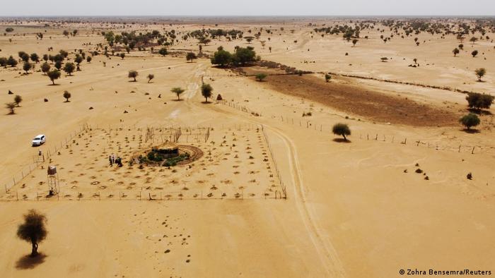 Senegalese plant circular gardens in Green Wall defence against desert