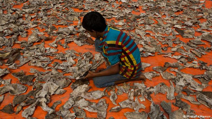 A child sits on the floor surrounded by fish skins