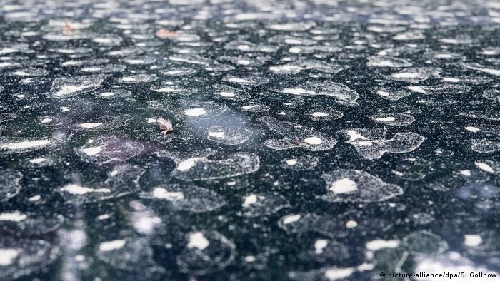 Pollen on a car roof