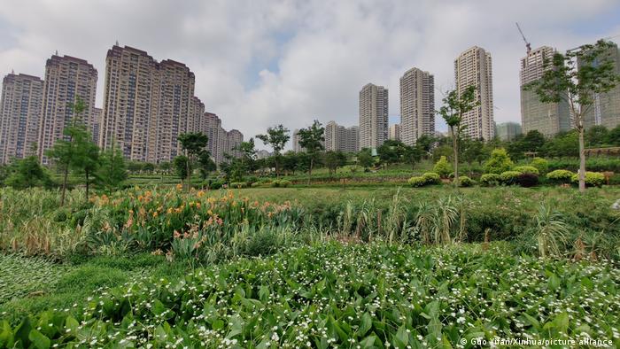 Nakaohe wetland park in Nanning of south China's Guangxi Zhuang Autonomous Region