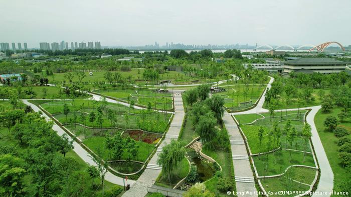 A bird's eye view of Hangzhou Qiantang Ecological Par